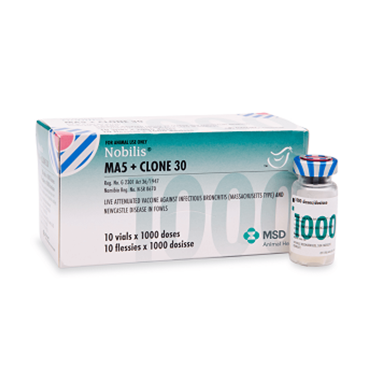 دوگانه نیوکاسل کلون 30 و برونشیت Ma5