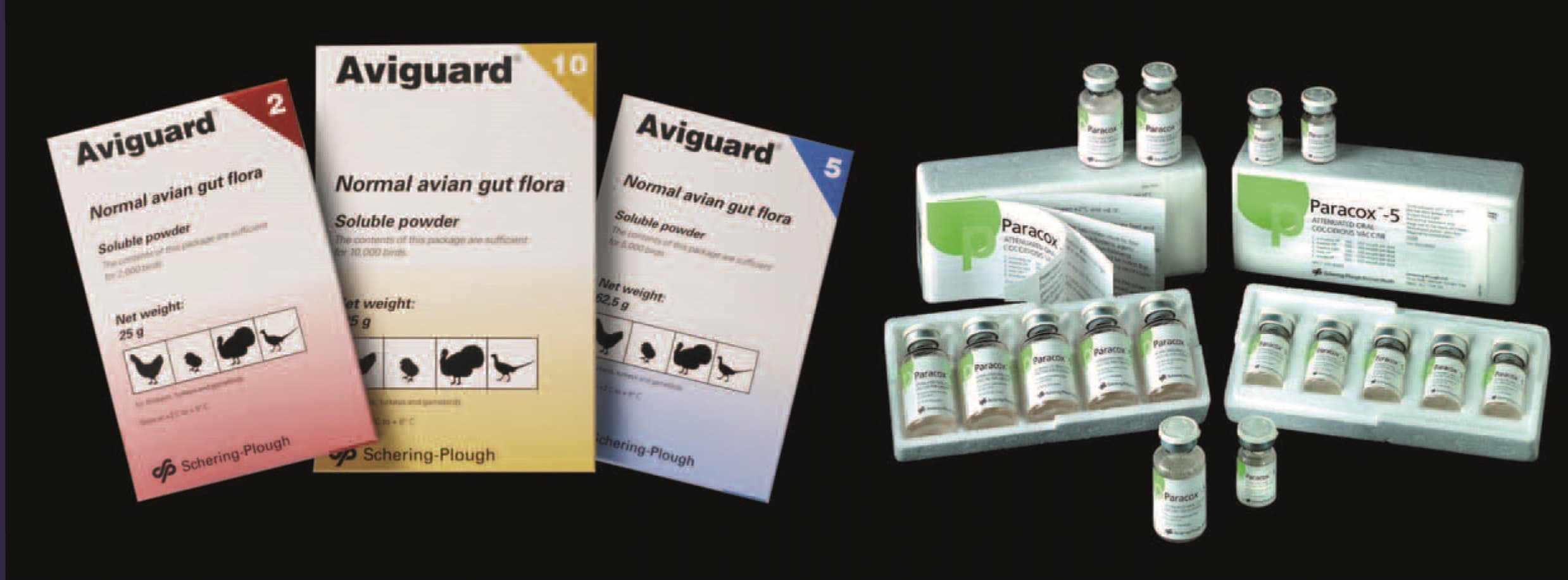 آویگارد Aviguard