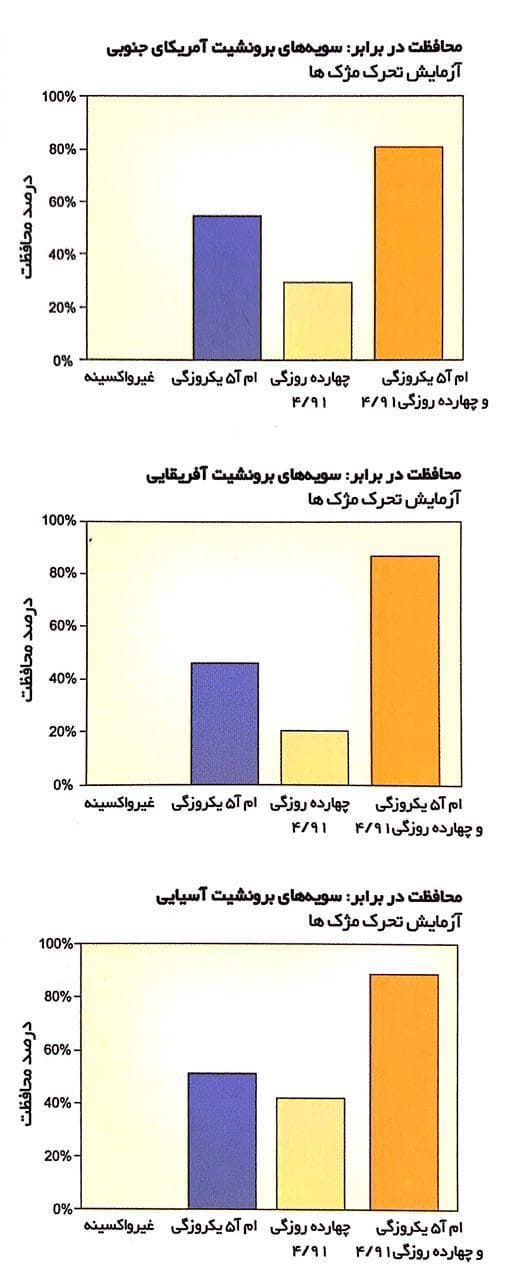 برونشیت 4/91